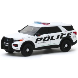 Greenlight 2020 Ford Police...