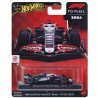 Hot Wheels Premium MoneyGram Haas F1 Team - VF24 (27)