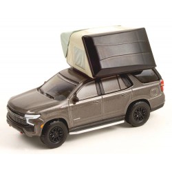 Greenlight 2021 Chevrolet...